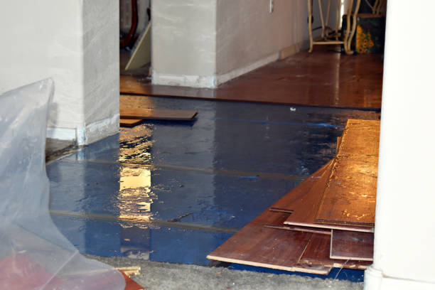 Professional Burst Pipe Cleanup technician working in Desdemona, TX